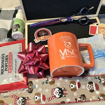 Subscription – Monthly Scissor Club Elite