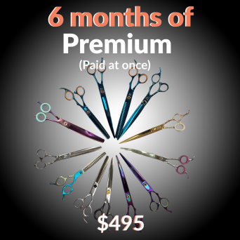 6 month Subscription – Monthly Scissor Club Premium (Gold)