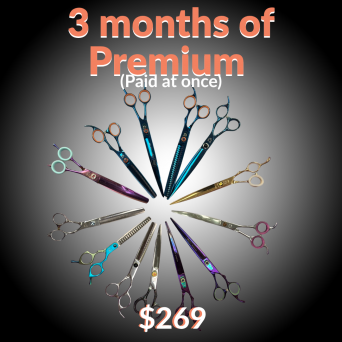 3 month Subscription – Monthly Scissor Club Premium (Gold)
