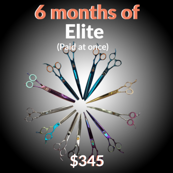 6 month Subscription – Monthly Scissor Club Elite