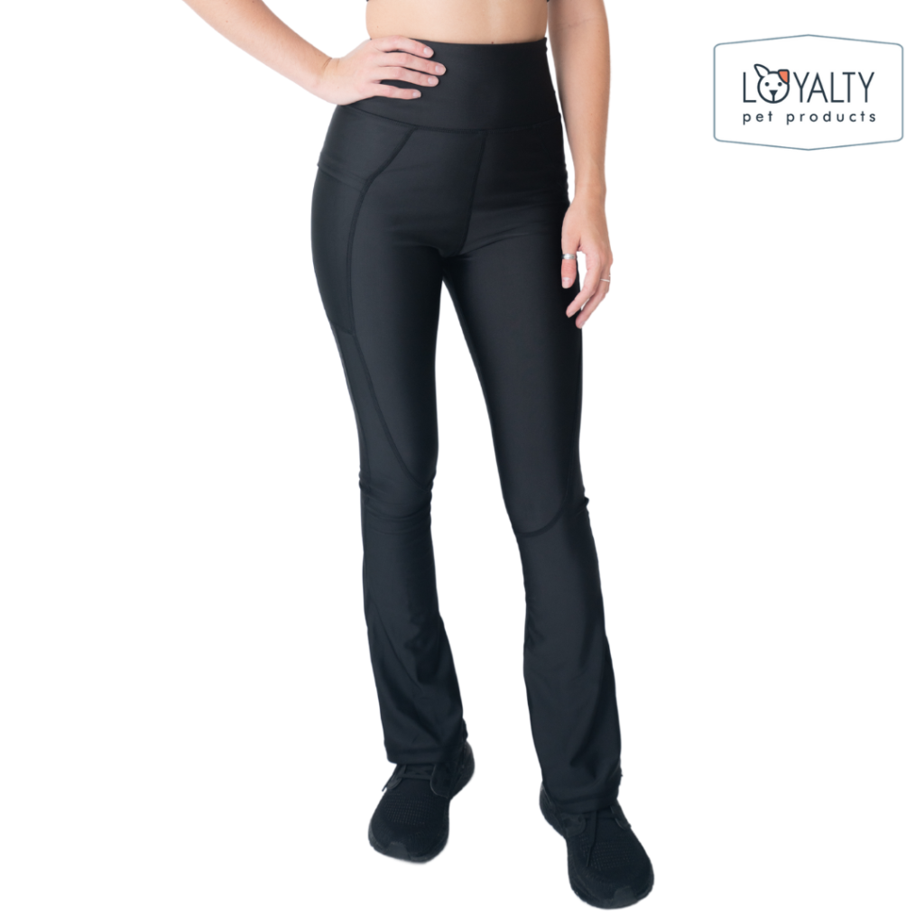 Dog Grooming Leggings Loyalty Pet Products