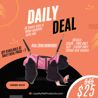 DAILY DEAL!