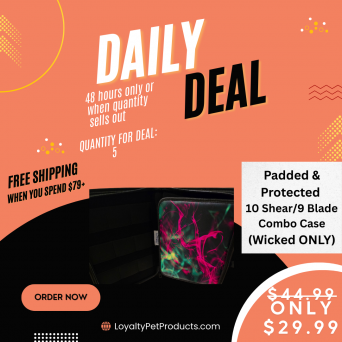 DAILY DEAL!