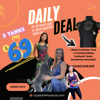 DAILY DEAL!