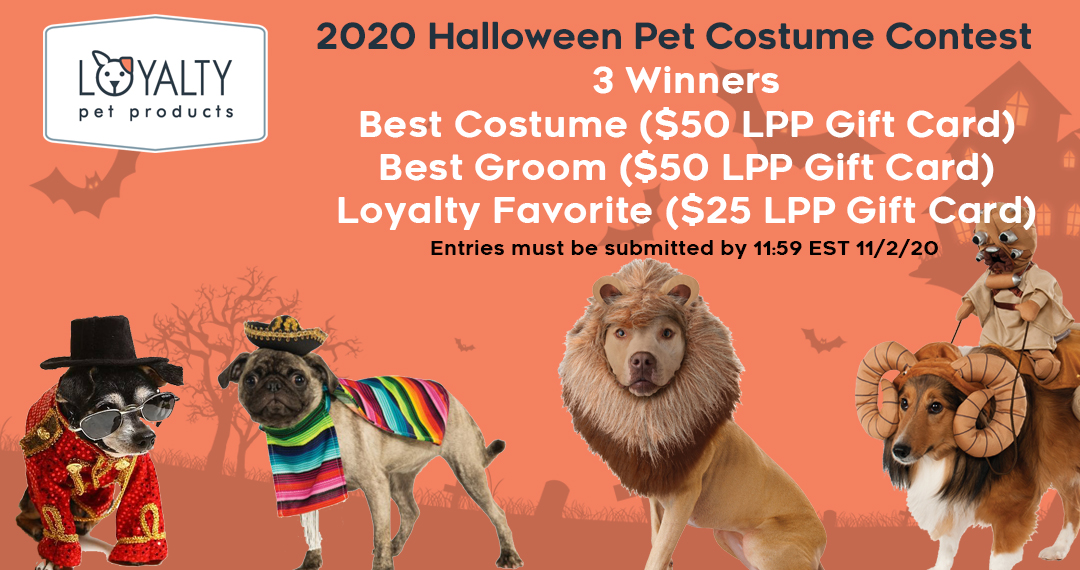 2020 Halloween Contest