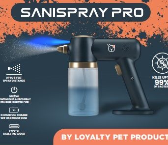 sanispray pro spray gun