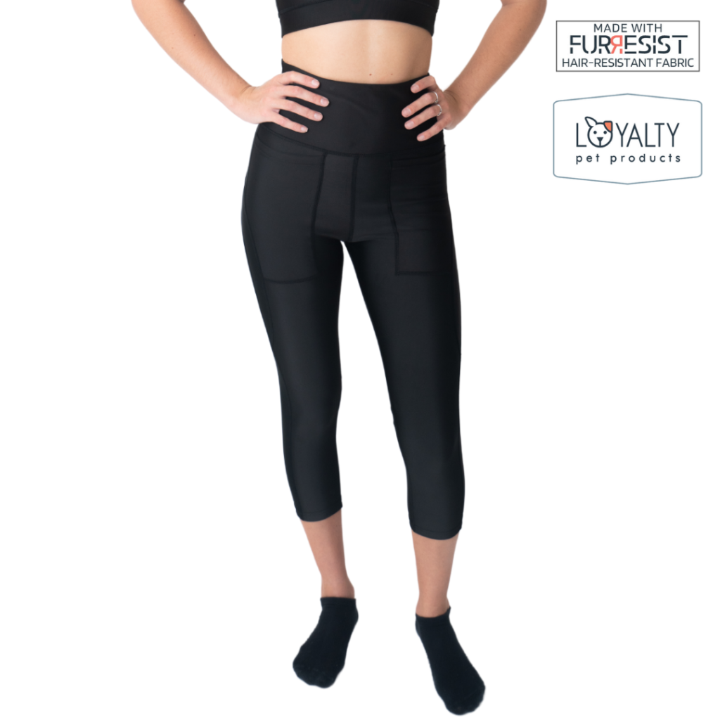 Dog Grooming Leggings Loyalty Pet Products