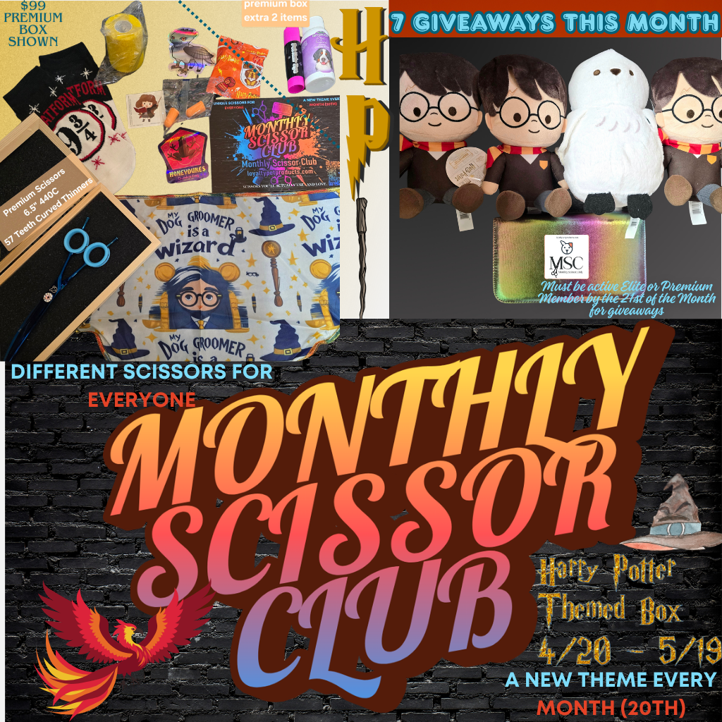 Monthly Scissor Club MARIO (1)