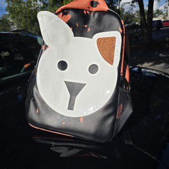 Groom 'N' Go Bags