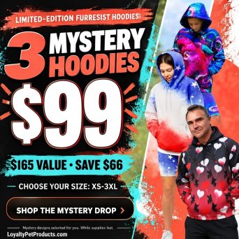 3 Pack Mystery Hoodie Sale - $99